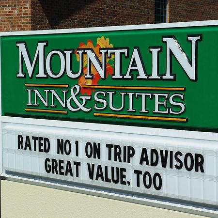 Mountain Inn & Suites Airport - Hendersonville Bagian luar foto